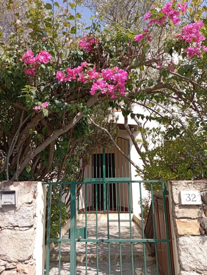 Domus Garden Bed & Breakfast Олбия Екстериор снимка